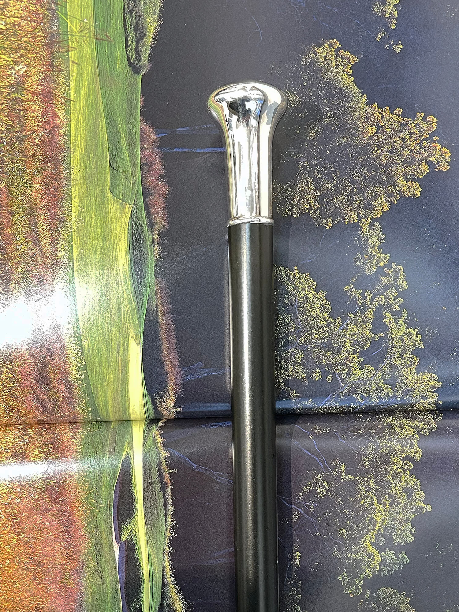 Stok med sølvhåndtag "Wien"